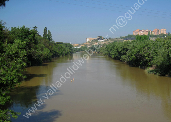 Valladolid - Pasarela Pedro Gomez Bosque 002