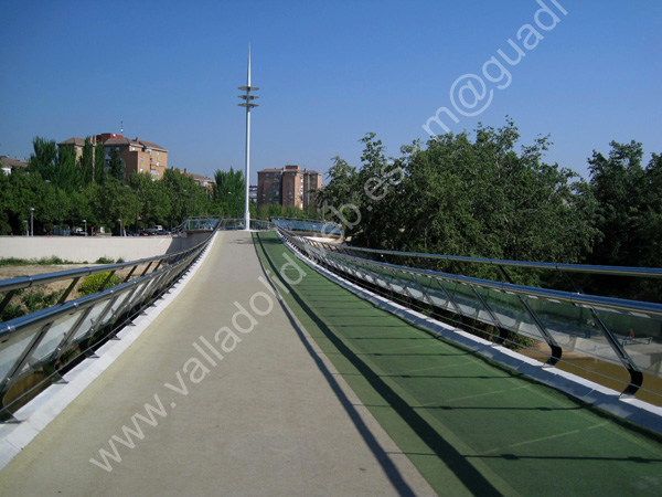 Valladolid - Pasarela Pedro Gomez Bosque 003