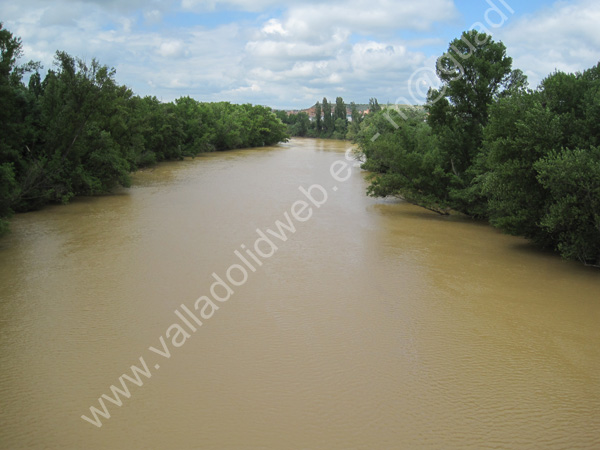 Valladolid - Puente de Santa Teresa 005 2011