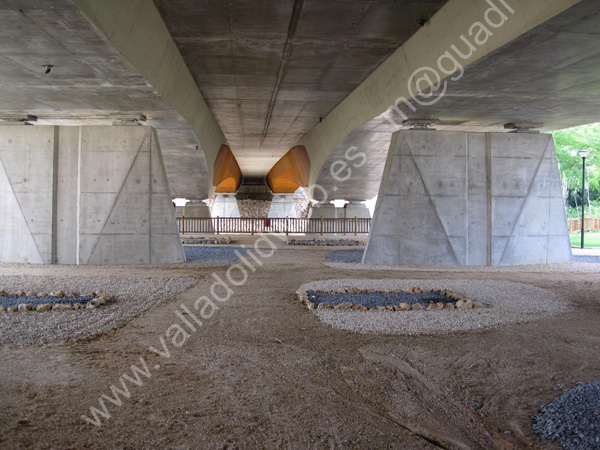 Valladolid - Puente de Santa Teresa 009 2011