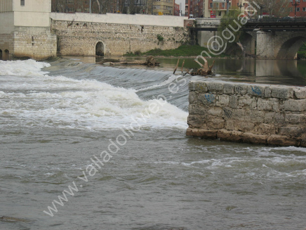 Valladolid - Rio Pisuerga 012 - Pesquera 2006