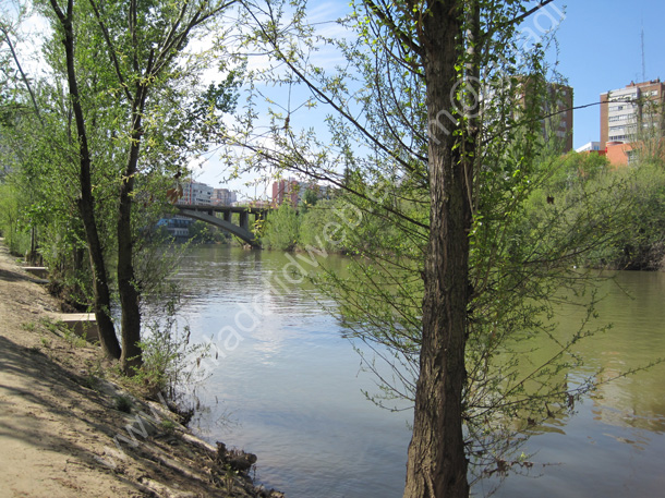 Valladolid - Rio Pisuerga 014 2010