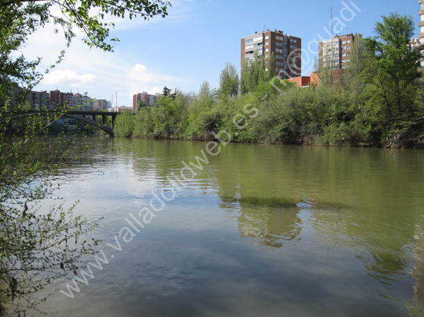 Valladolid - Rio Pisuerga 016 2010