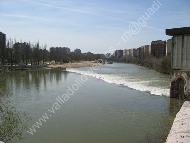 Valladolid - Rio Pisuerga 026 2010