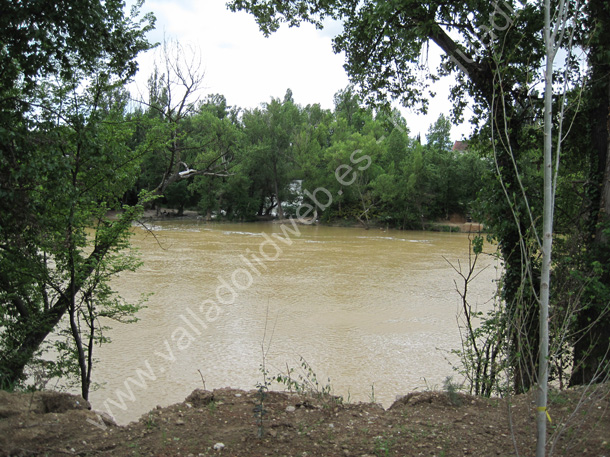 Valladolid - Rio Pisuerga 030 Desembocadura de la Esgueva 2011