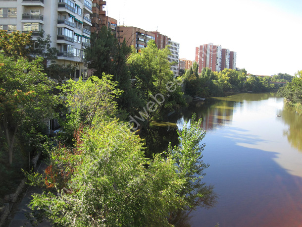 Valladolid - Rio Pisuerga 033 2011